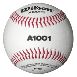 WILSON SPORTING GOODS Wilson A1001BFS Collegiate Baseball (Dozen): WTA1001BFS
