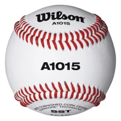 WILSON SPORTING GOODS Wilson A1015 NFHS Baseball (Dozen): WTA1015BSST