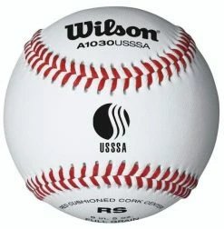 WILSON SPORTING GOODS Wilson A1030BUSSSA Official League Baseball (Dozen)